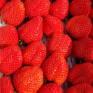 香川産 赤いくて甘いプリンセス