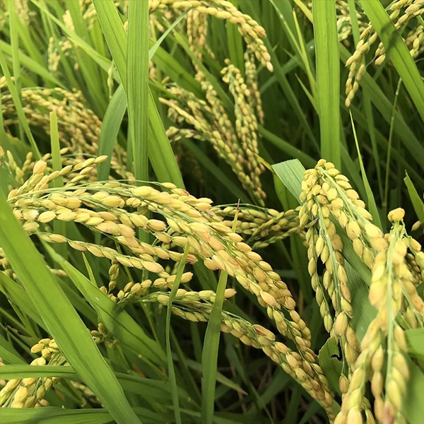 始めて10年立ちました