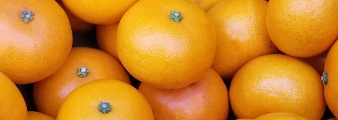 ギフトを贈る 旬の果物・野菜特集